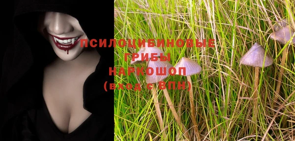 гашик Зеленодольск