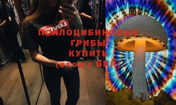 гашик Зеленодольск