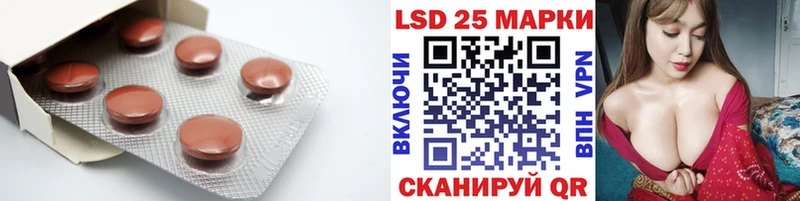 LSD-25 экстази ecstasy  мориарти официальный сайт  Светогорск  как найти закладки  kraken как зайти 